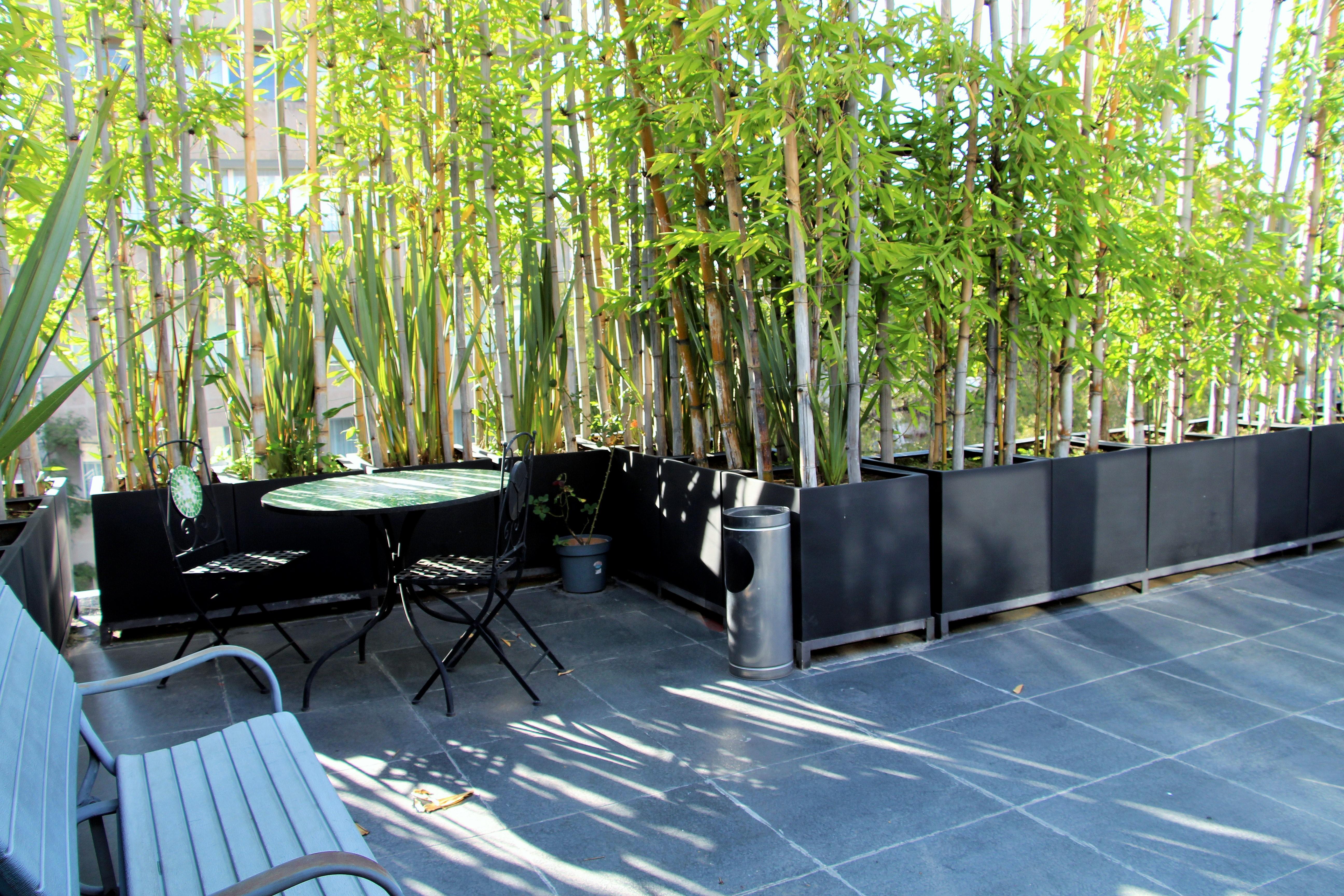 Residence L' Heritage Hipolito Taine By Bluebay Mexico City Luaran gambar